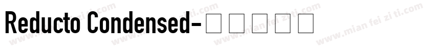 Reducto Condensed字体转换